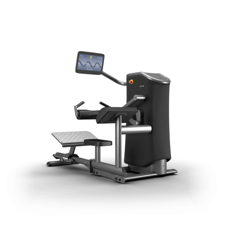 M19 Hip Thrust.png